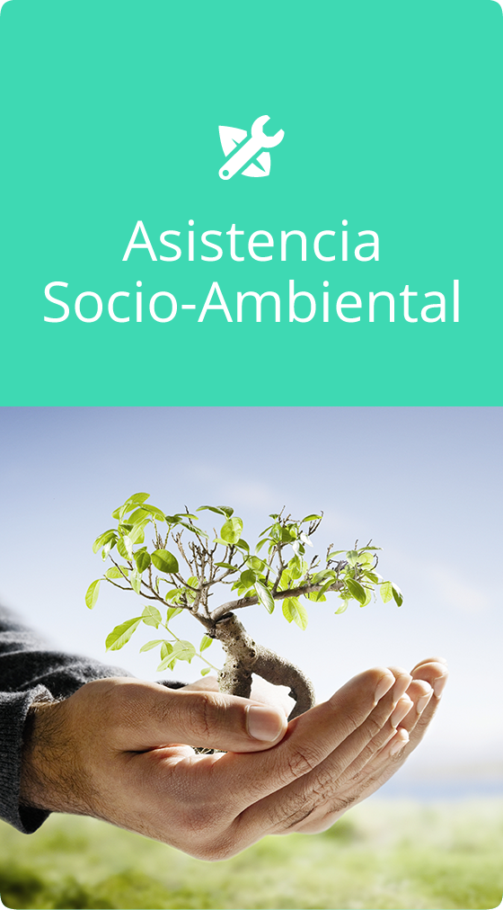 Asistencia Socio-Ambiental