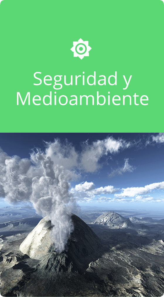 Seguridad y Medioambiente